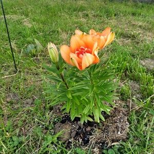 Meet your Posher, Kerry